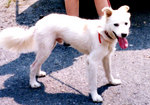 199508.jpg