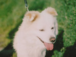 1999_00.jpg