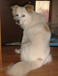 200306.jpg