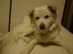 2004_01.jpg