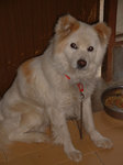 200805.jpg