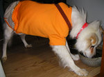 201004.jpg