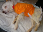 201005.jpg