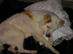 20100530.jpg
