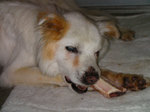 20100606.jpg