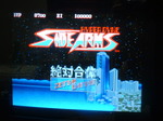 SIDEARMS05.JPG
