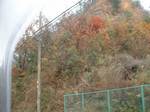 takatsuki6_04.jpg